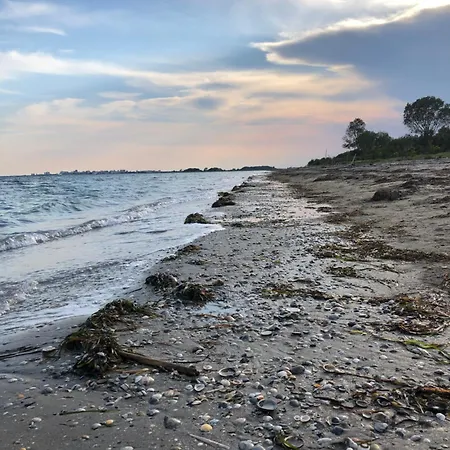 Onda Marina Superior *